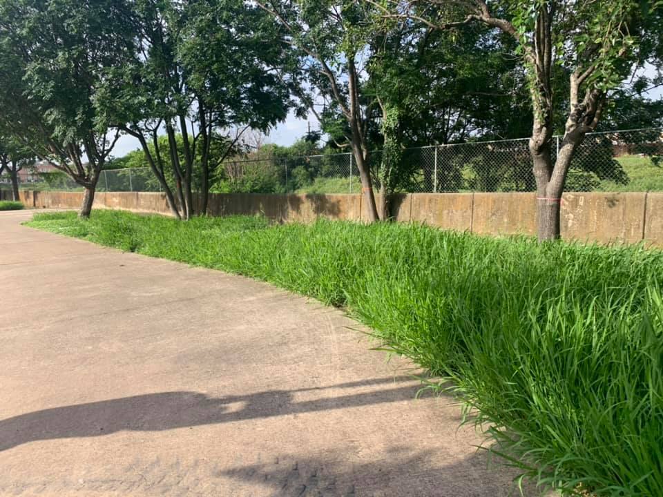 Chihuahua Street: Added Parking Spaces