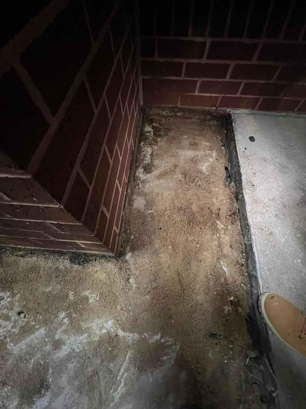 Uresti Tax Office: 1,2,3 Concrete project photo 4